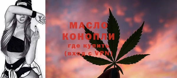 spice Вяземский