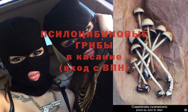 MDMA Premium VHQ Вязьма