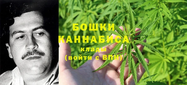 spice Вяземский